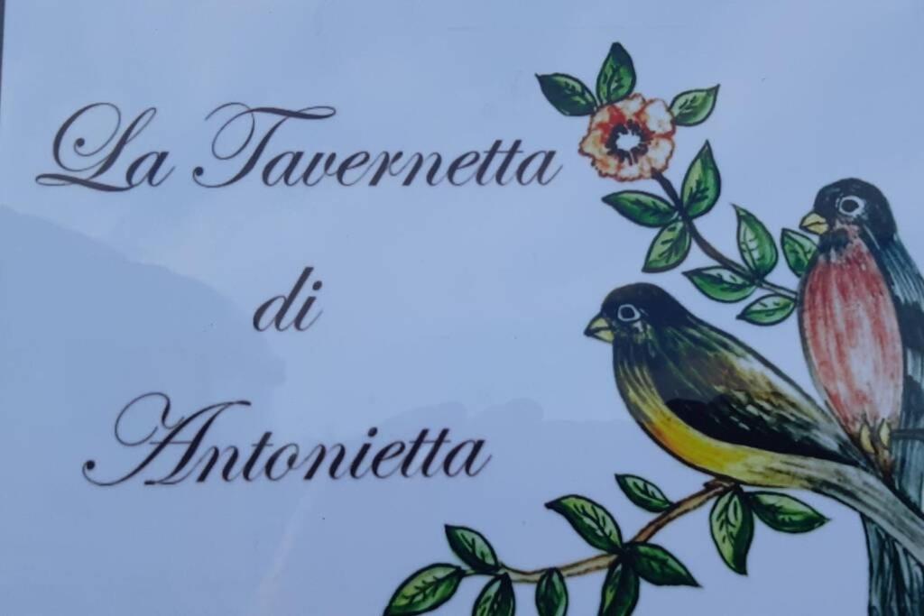 La Tavernetta Di Antonietta Villafranca di Verona Exterior photo